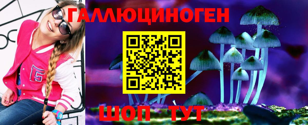 Галлюциногенные грибы Cubensis Сальск